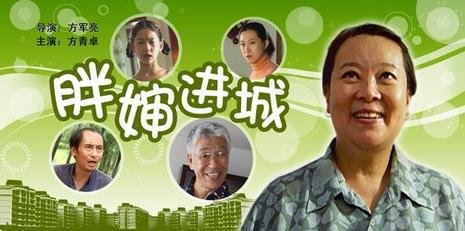 胖婶进城的介绍