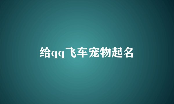 给qq飞车宠物起名