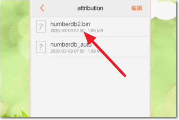 怎样打开手机里的. bin文件。?