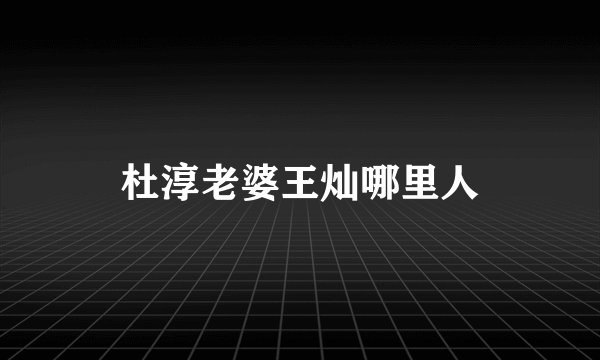 杜淳老婆王灿哪里人