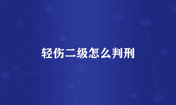 轻伤二级怎么判刑