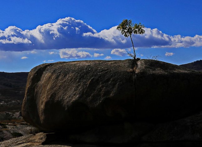 说一个人抗压能力强是什么意思？