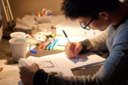 用力造句一年级