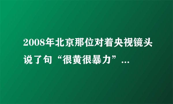 2008年北京那位对着央视镜头说了句“很黄很暴力”小女孩叫什么名字？