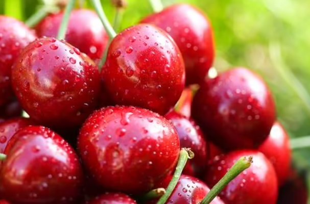 樱桃英语怎么说cherry