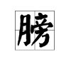 “膀”字的读音怎么写？