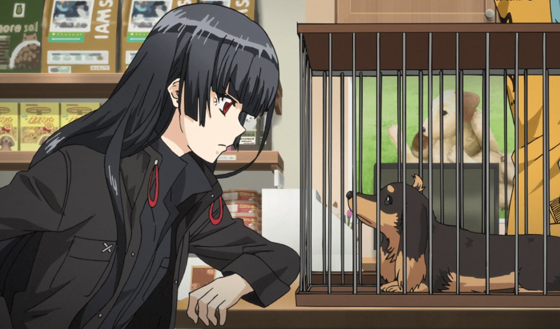 狗与剪刀的正确用法