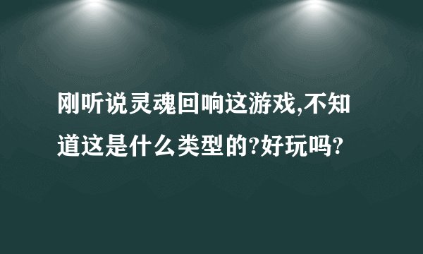 刚听说灵魂回响这游戏,不知道这是什么类型的?好玩吗?