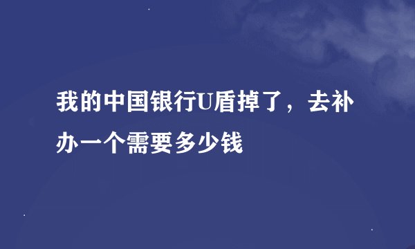 我的中国银行U盾掉了，去补办一个需要多少钱