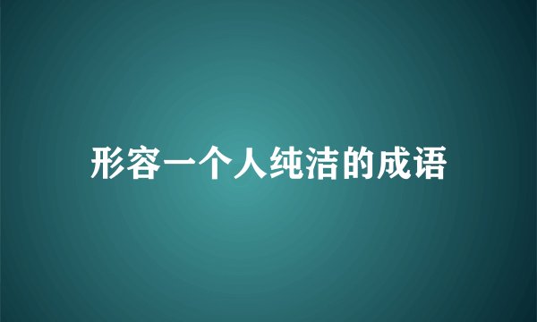 形容一个人纯洁的成语