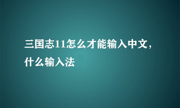 三国志11怎么才能输入中文，什么输入法