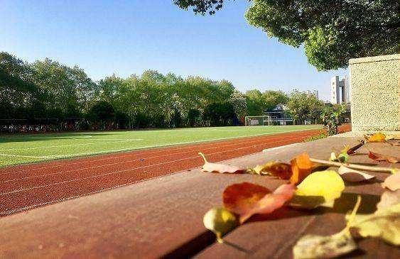 乐清有哪些中学？