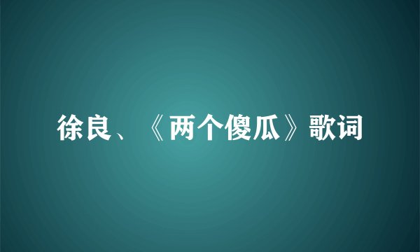 徐良、《两个傻瓜》歌词