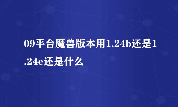 09平台魔兽版本用1.24b还是1.24e还是什么