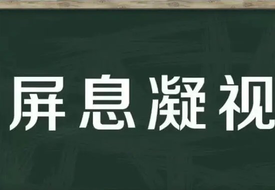 凝视造句二年级简单点