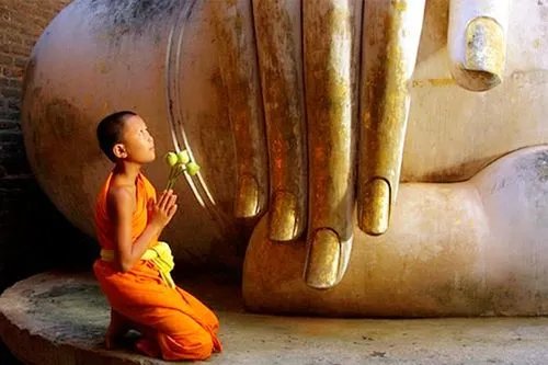 娑婆怎么念啥意思