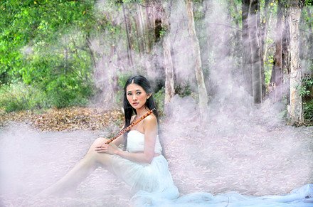 木下之影的作品简介