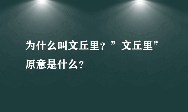 为什么叫文丘里？”文丘里”原意是什么？