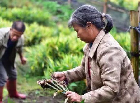 绮丽的反意词是什么？