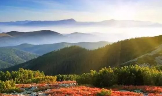 顺遂无虞一般用在哪?