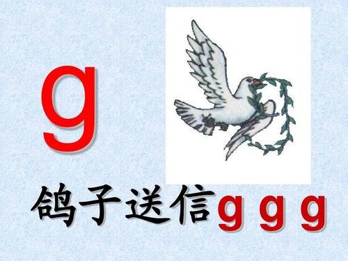 拼音zl怎么拼？