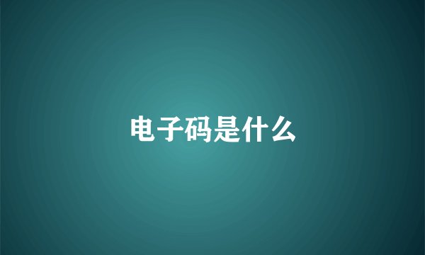 电子码是什么