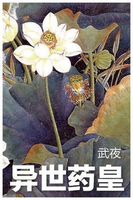 异世药皇的小说介绍