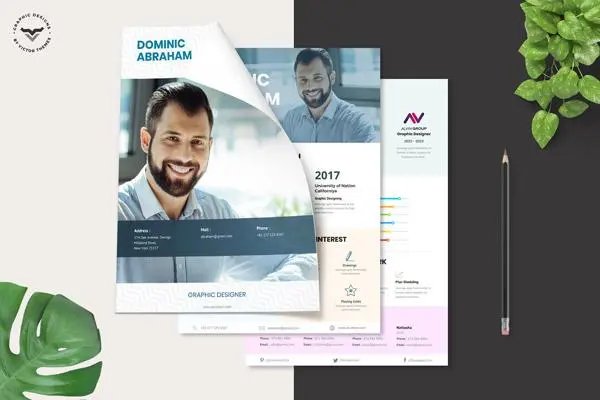 简历英语怎么说