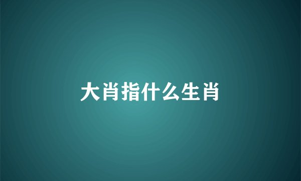 大肖指什么生肖