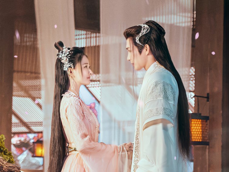 张彬彬演的电视剧有哪些