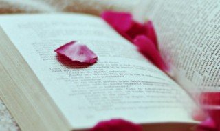 ifashion是什么意思 ifashion的中文翻译