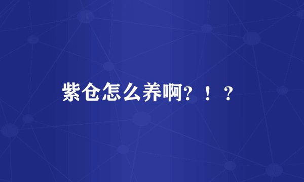 紫仓怎么养啊？！？