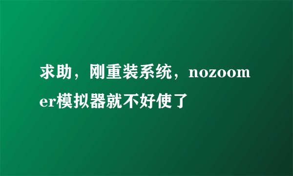 求助，刚重装系统，nozoomer模拟器就不好使了