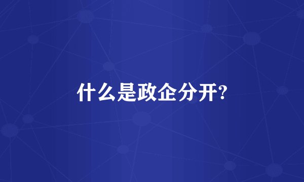 什么是政企分开?