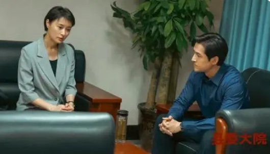 县委大院一共多少集