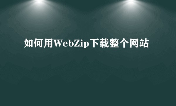 如何用WebZip下载整个网站