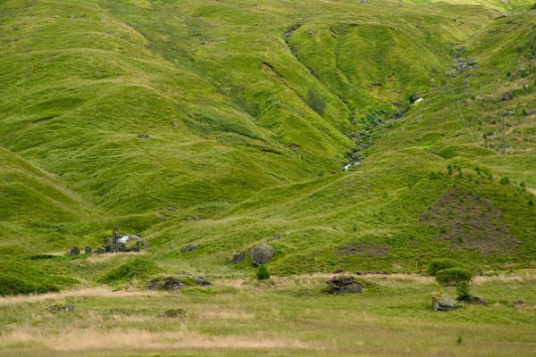 坡的笔顺是怎么写的