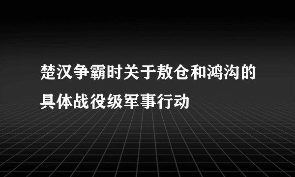 楚汉争霸时关于敖仓和鸿沟的具体战役级军事行动