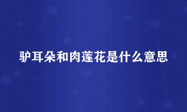 驴耳朵和肉莲花是什么意思