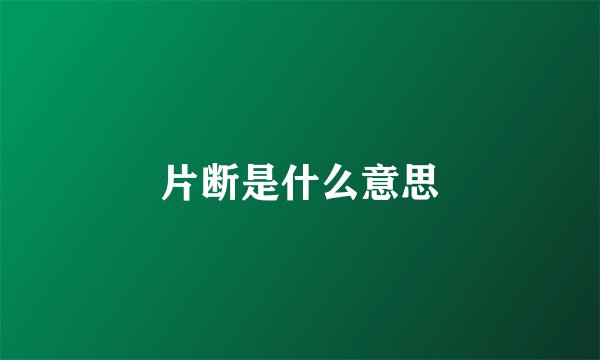 片断是什么意思