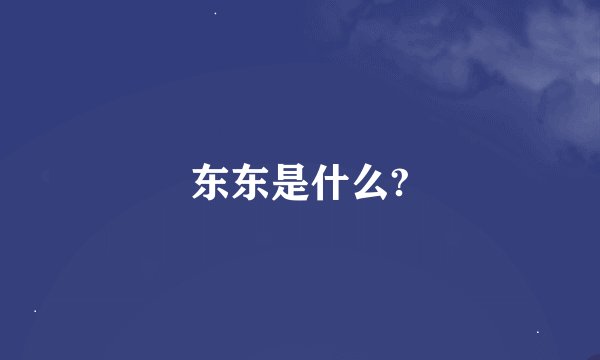 东东是什么?