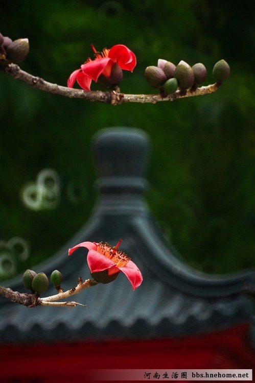 陈俊生主要作品的介绍