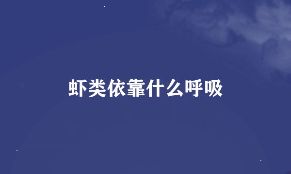 虾类依靠什么呼吸