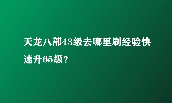 天龙八部43级去哪里刷经验快速升65级？