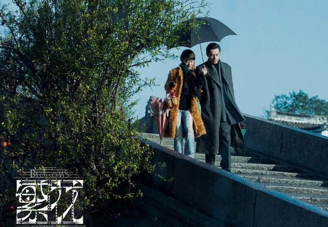 繁花分集剧情介绍