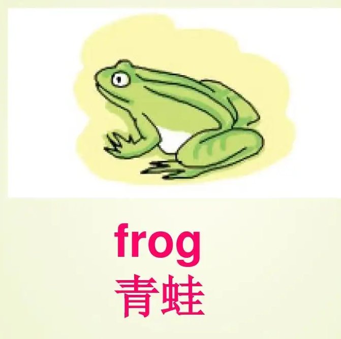 frog是什么意思英语