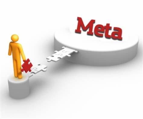 meta是什么意思