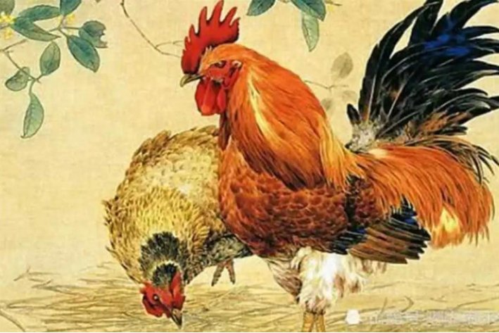 大本大宗什么肖