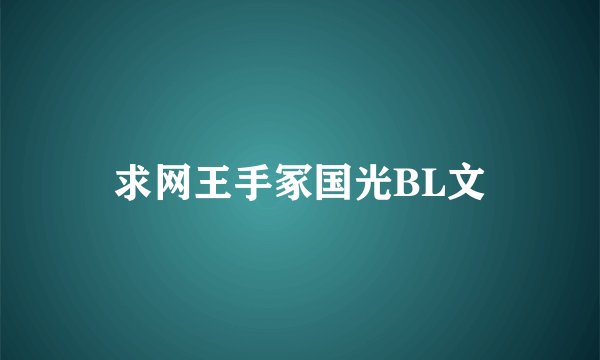 求网王手冢国光BL文