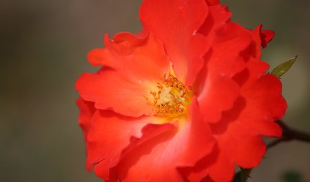 焕然与涣然的区别